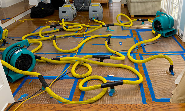Professional Water Damage Repair technician working in Homer, MI