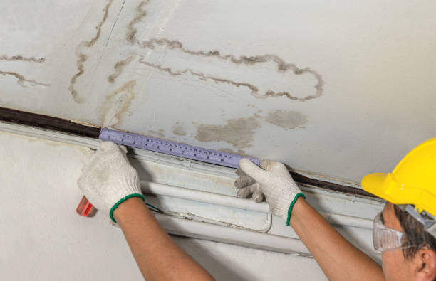 Affordable Water Damage Repair solutions in Homer, MI